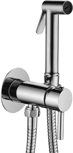 ZDUP110ST Набор гигиенического душа Paffoni, co смесителем STEEL LOOKING (нерж.сталь)