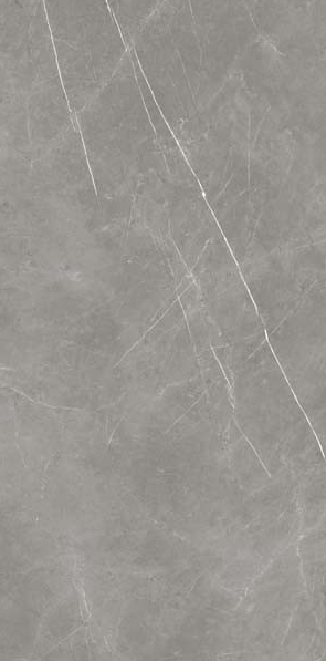 Керамогранит Atlas Concorde Forte Dei Marmi Elegant Grey Lap 80x160 