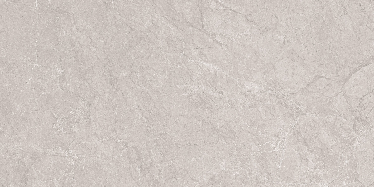 Керамогранит Neodom Marble Aristo Grey Tm 60х120 
