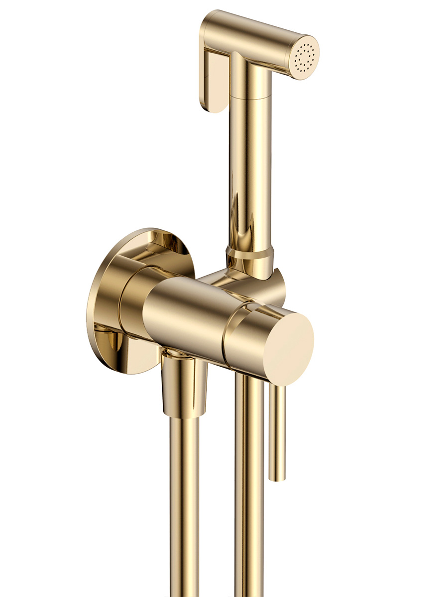 Смеситель с гигиеническим душем AQUAme Siena AQM6217BG, брашированное золото