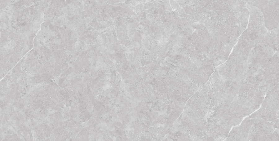 Керамогранит Neodom Stone&More Tokyo Grey Matt 60x120