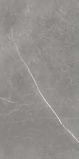 Керамогранит Atlas Concorde Forte Dei Marmi Elegant Grey Cer 60x120 